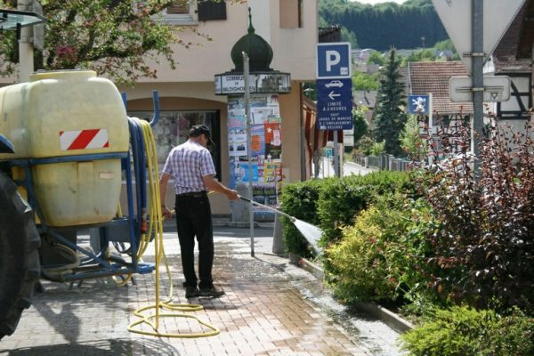 entretien des plantations