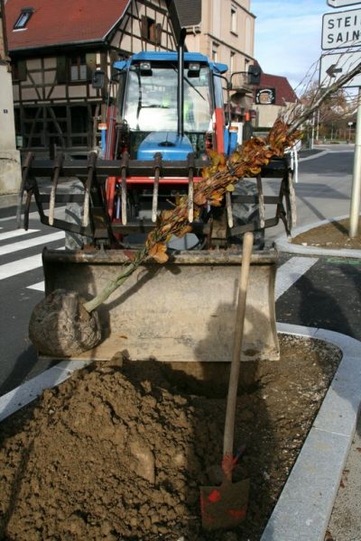 Aménagement rue du 19 novembre