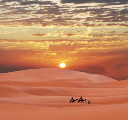 choisir son chemin entre les dunes