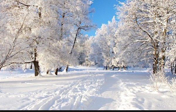 Paysage féérique d'hiver