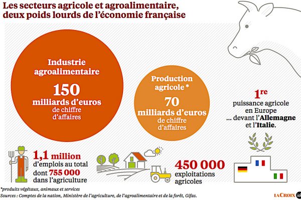L'Agriculture acteur économique en France
