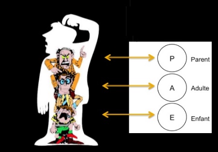 Analyse transactionnelle