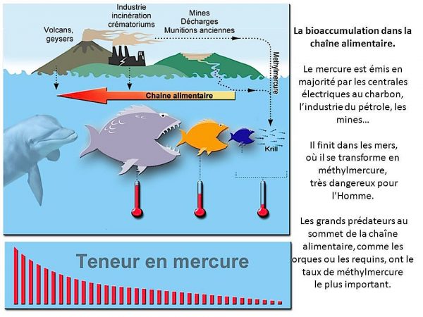 Origine du mercure