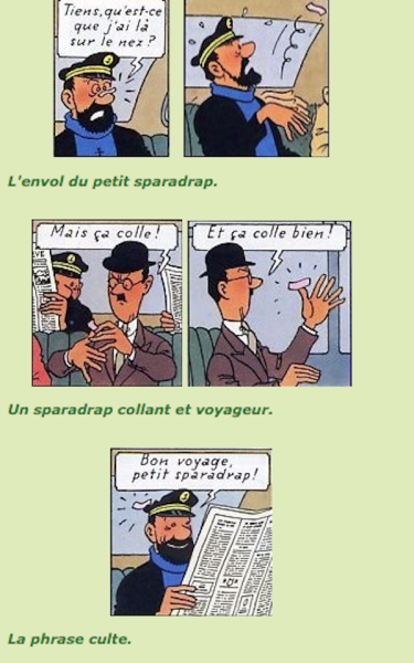 Tintin - L'affaire Tournesol