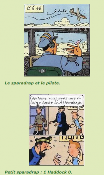 Tintin - L'affaire Tournesol