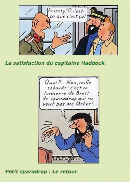 Tintin - L'affaire Tournesol